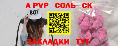 крисы Кингисепп