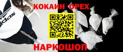 крисы Кингисепп