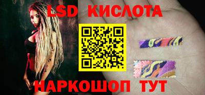 крисы Кингисепп