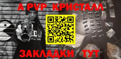 крисы Кингисепп