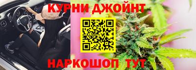 крисы Кингисепп