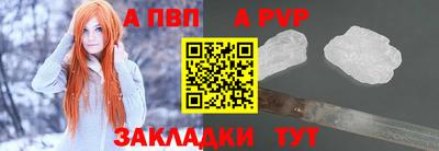 крисы Кингисепп
