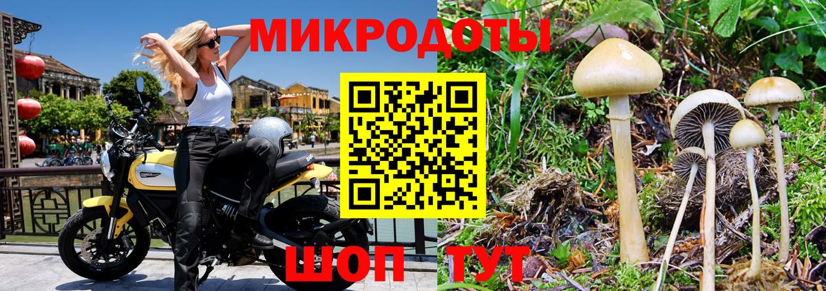 Галлюциногенные грибы мухоморы Красноярск
